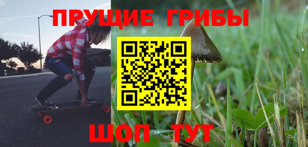 Псилоцибиновые грибы прущие грибы Березники